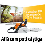 Castiga un televizor led LG, un motofierastrau Stihl si 5 vouchere BIG in valoare de 500 de lei