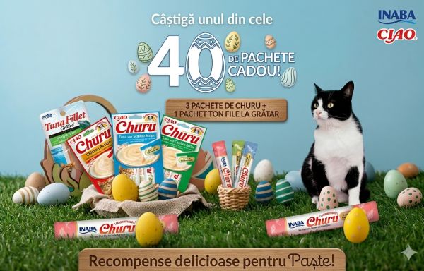 Câștigă 40 pachete cu recompense delicioase pentru pisici